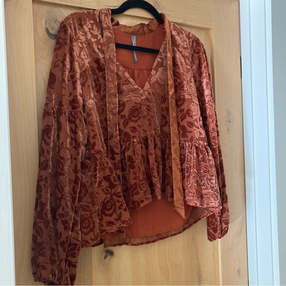 Anthro Cropped Velvet Top